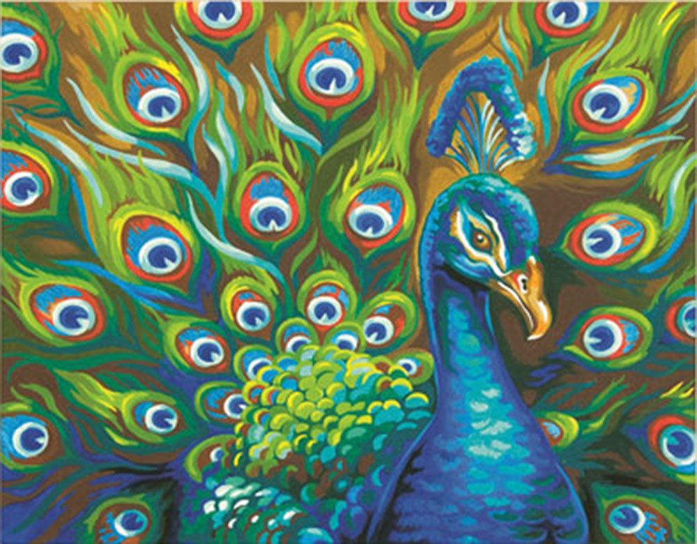Amazon.com: Dimensions Wild Peacock Paint by Numbers for Adults