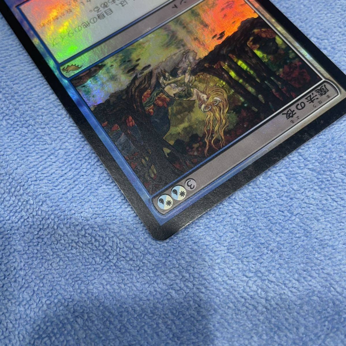Amazon.co.jp: MTG 魔法の夜/Enchanted Evening 日本語版 Foil SHM