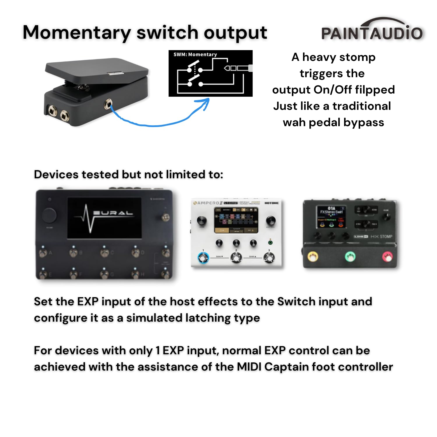 Amazon.com: Paint Audio Foot Captain Dual Outputs Expression Pedal