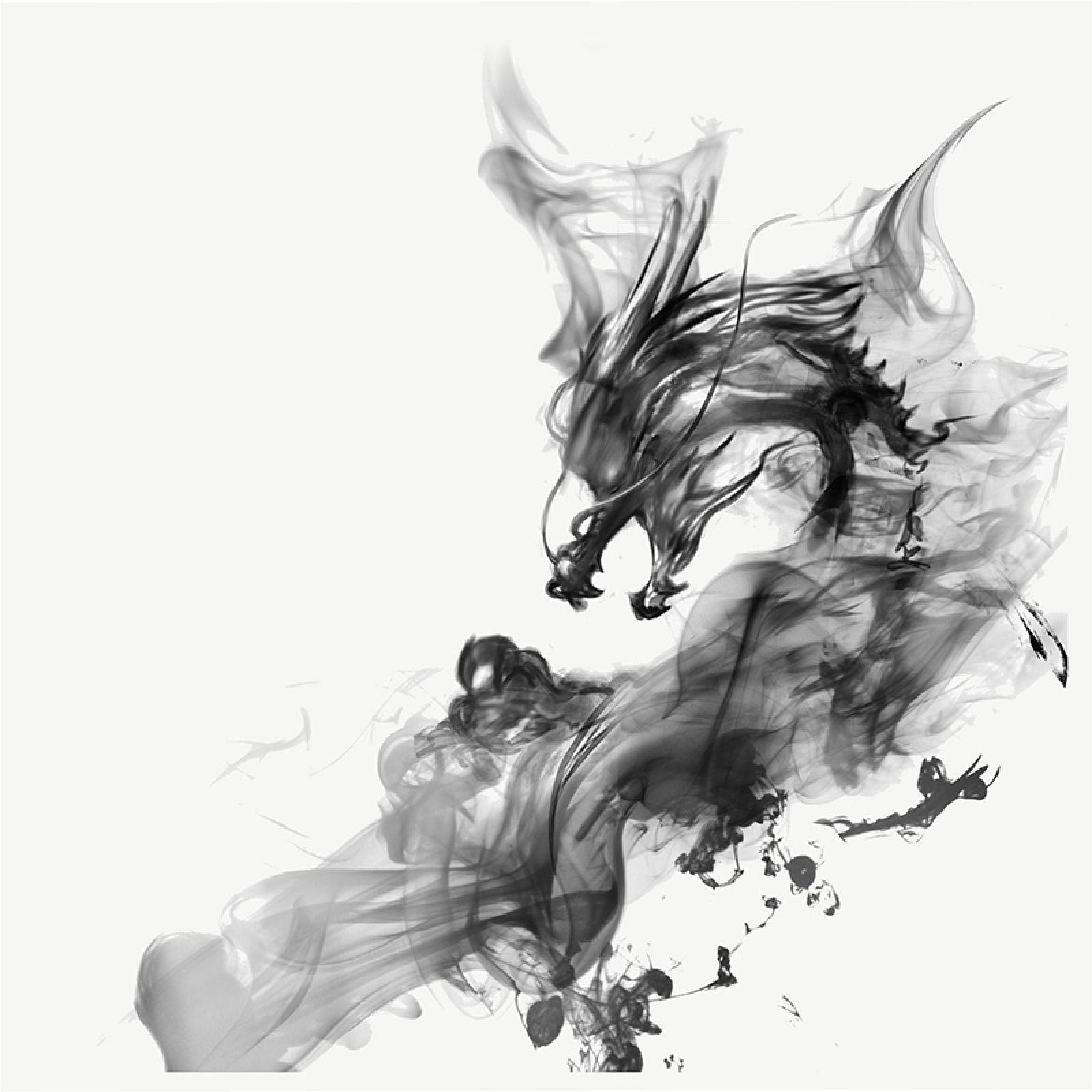 Amazon.co.jp: 抽象的なキャンバスの壁の芸術中国のドラゴンの絵画