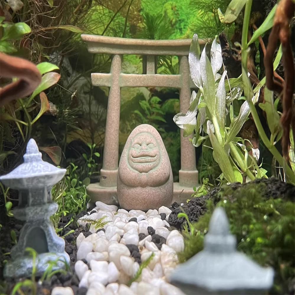 Amazon.co.jp: ダルマ 達磨 置物 縁起物 お地蔵さん 両面顔 水族箱