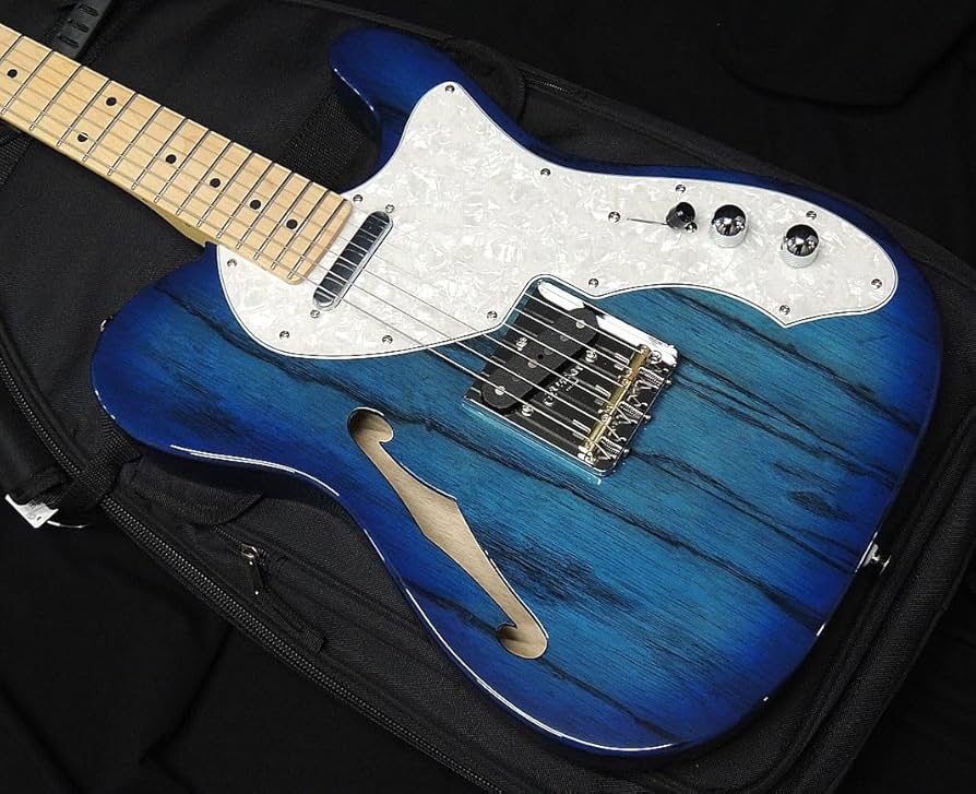 Amazon | FGN FUJIGEN NTE100MAHT SBB フジゲン Neo Classic SERIES