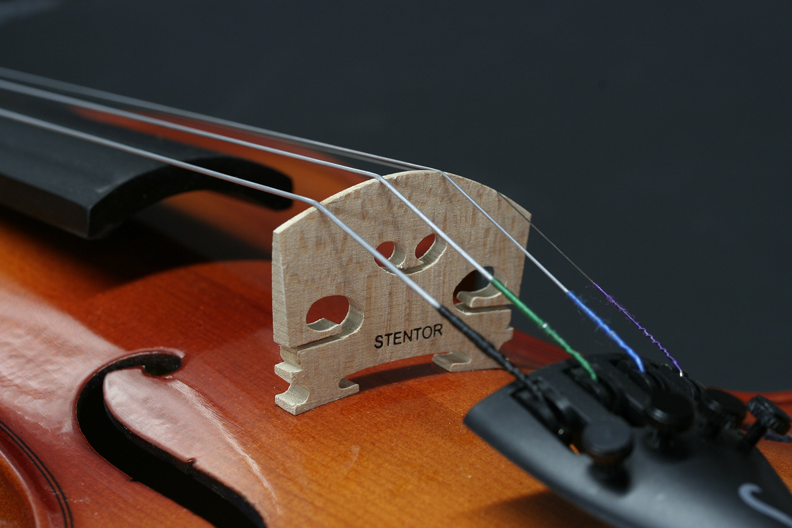 Amazon.co.jp: STENTOR ステンター バイオリン アウトフィット 4/4