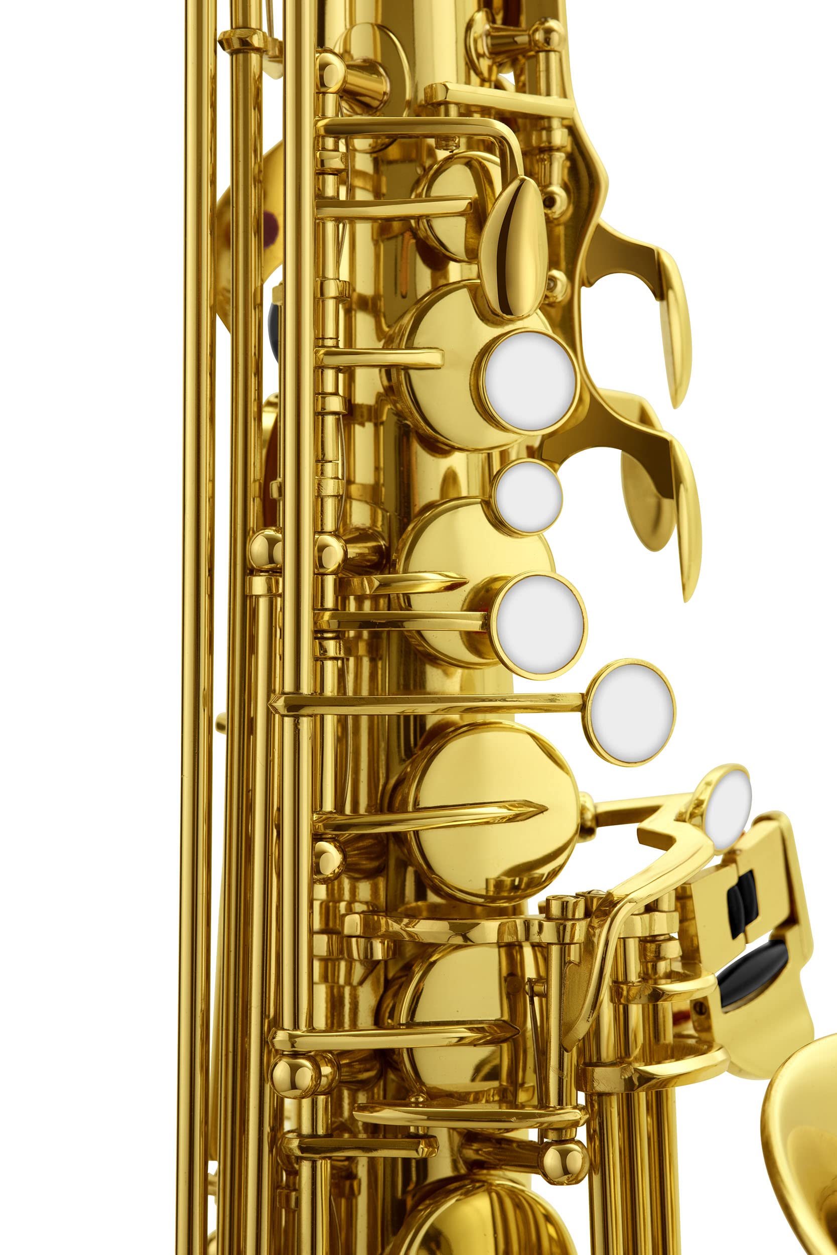 Amazon.com: Eldon by Antigua Alto Saxophone (AS-22) : Musical