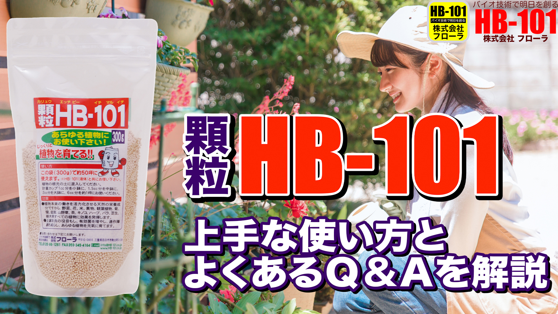Amazon | フローラ(Flora) 植物活力剤 HB-101 緩効性 顆粒 1kg 花 野菜