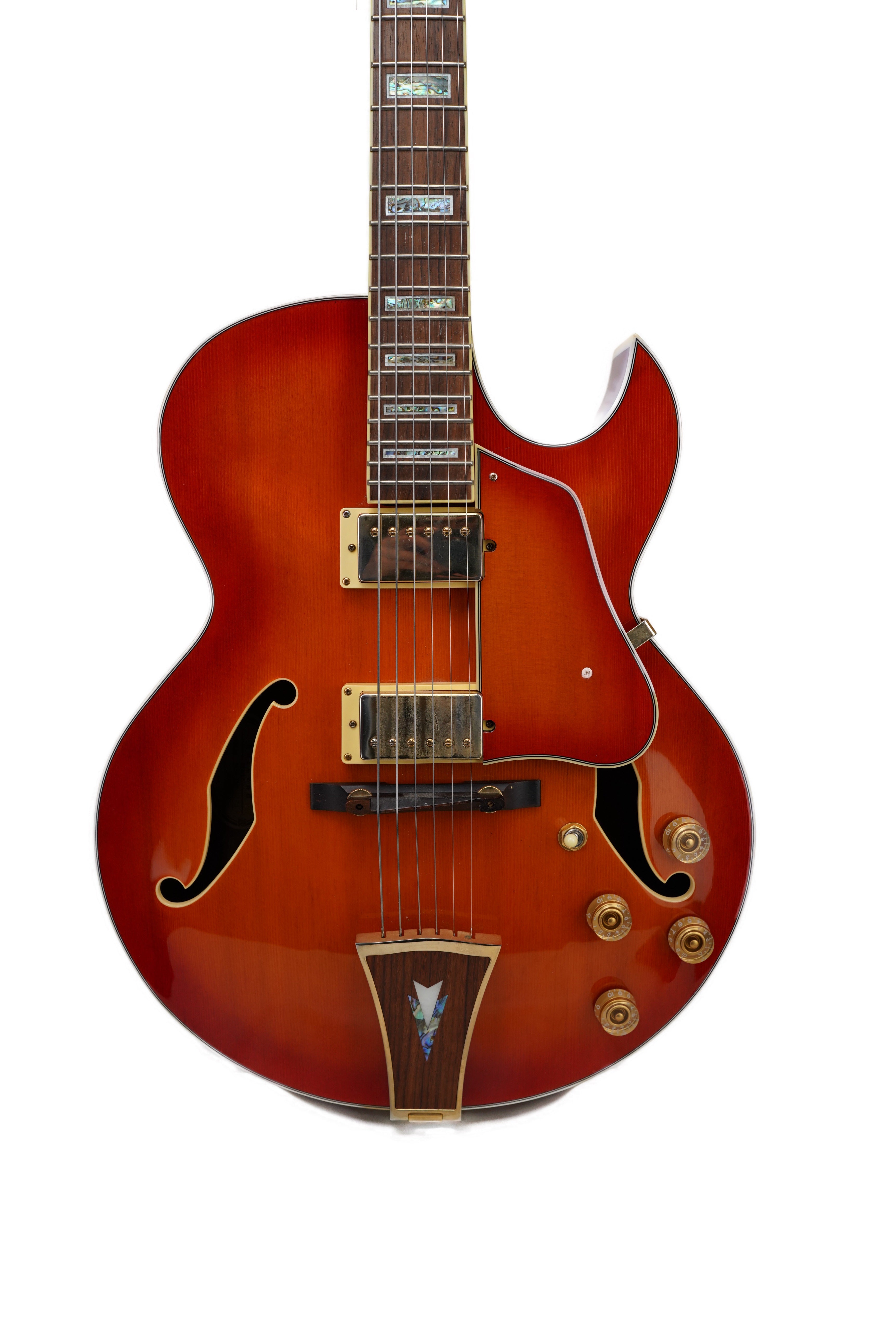 2007 Ibanez AK95