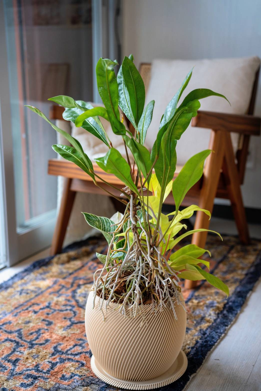 植物 – mamidori