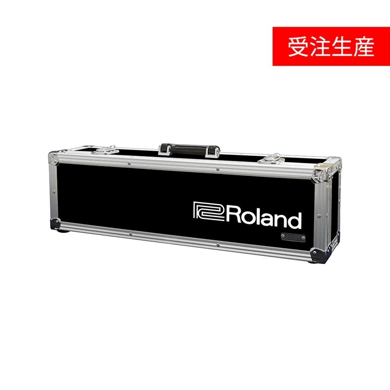 受注生産・代引不可】TB-AE10（AE-10専用ハードケース）