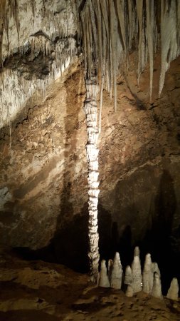 Tripadvisor - 經過長年累積的鐘乳石柱 - صورة ‪Mole Creek Caves‬