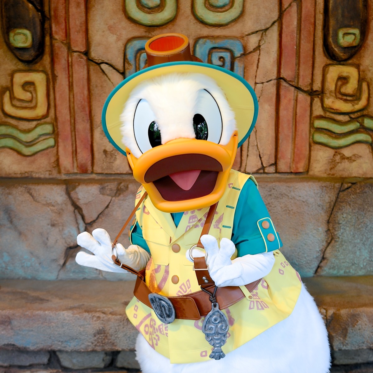探検家コスチュームのドナルドダック！東京ディズニーシー「ミッキー