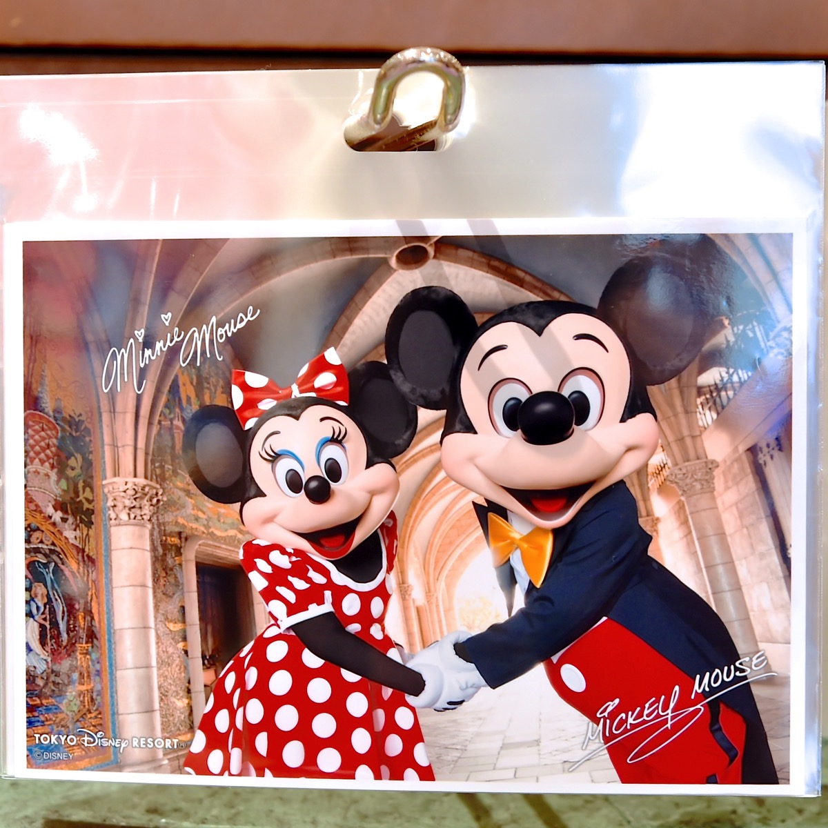 絵柄たっぷりメモ＆ポストカードも！東京ディズニーランド実写デザイン