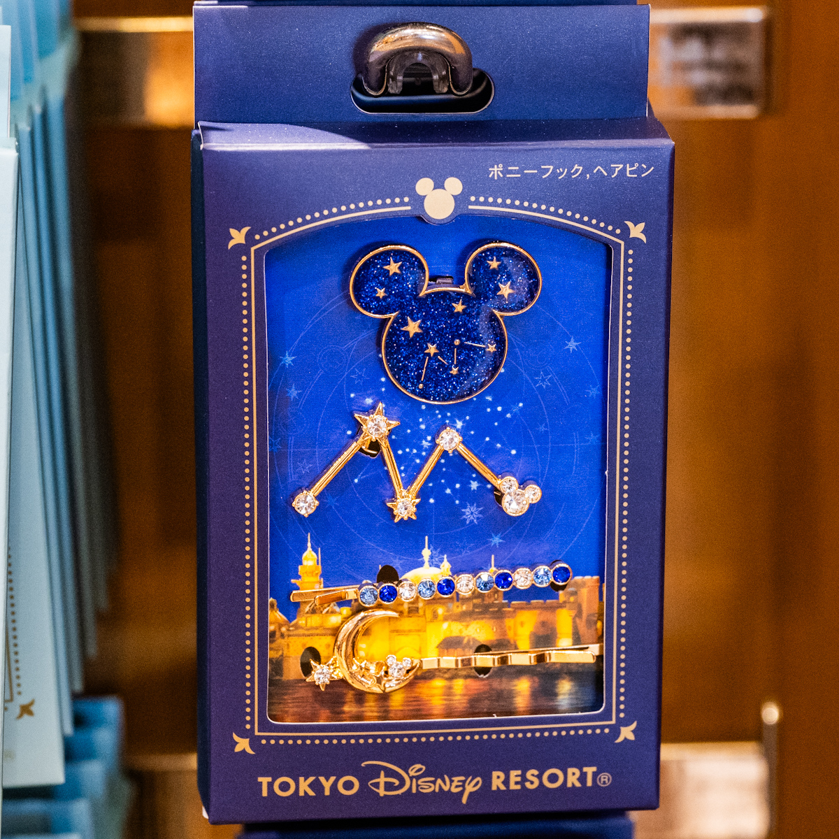 フォートレス・エクスプロレーションモチーフ！東京ディズニーシー