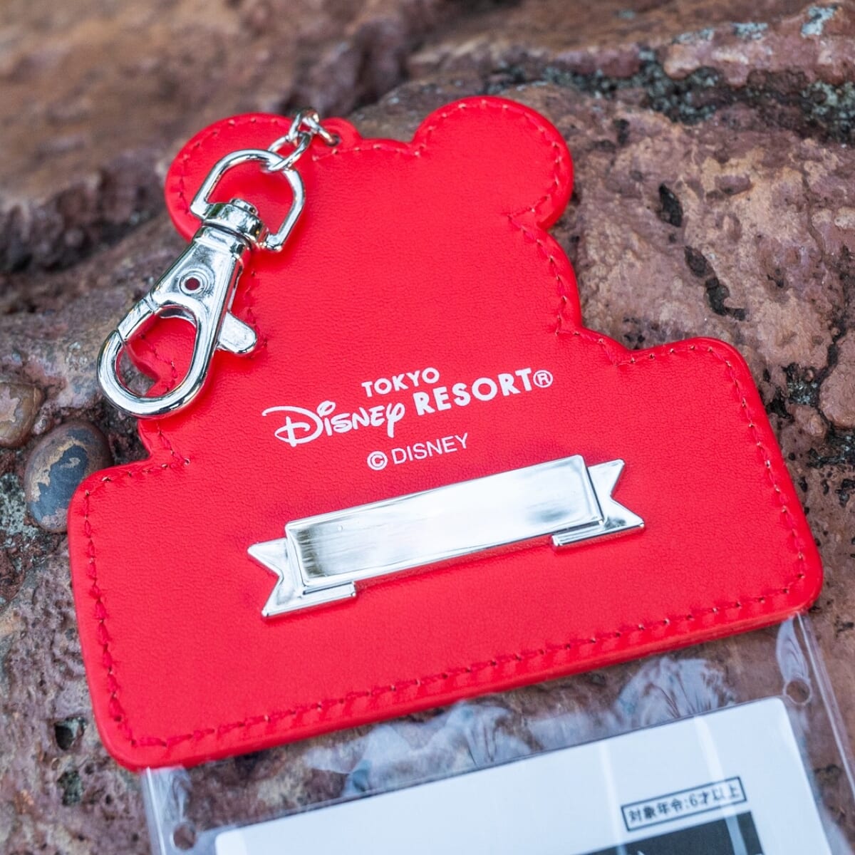 ミッキー、ミニー、ドナルドデザイン！東京ディズニーランド