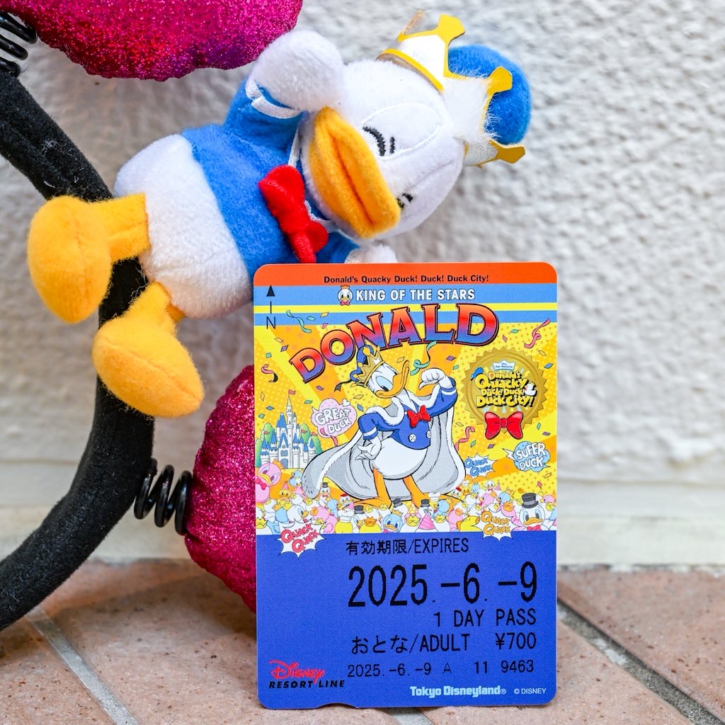 ドナルドのお誕生日当日までの期間限定デザイン！ディズニーリゾート