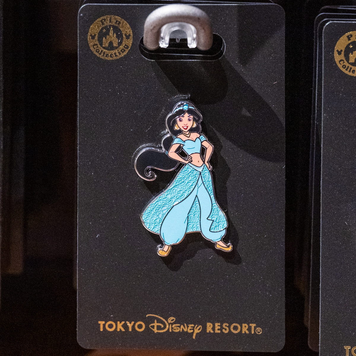 シンデレラ、ベル、ジャスミン、ラプンツェル！東京ディズニーランド