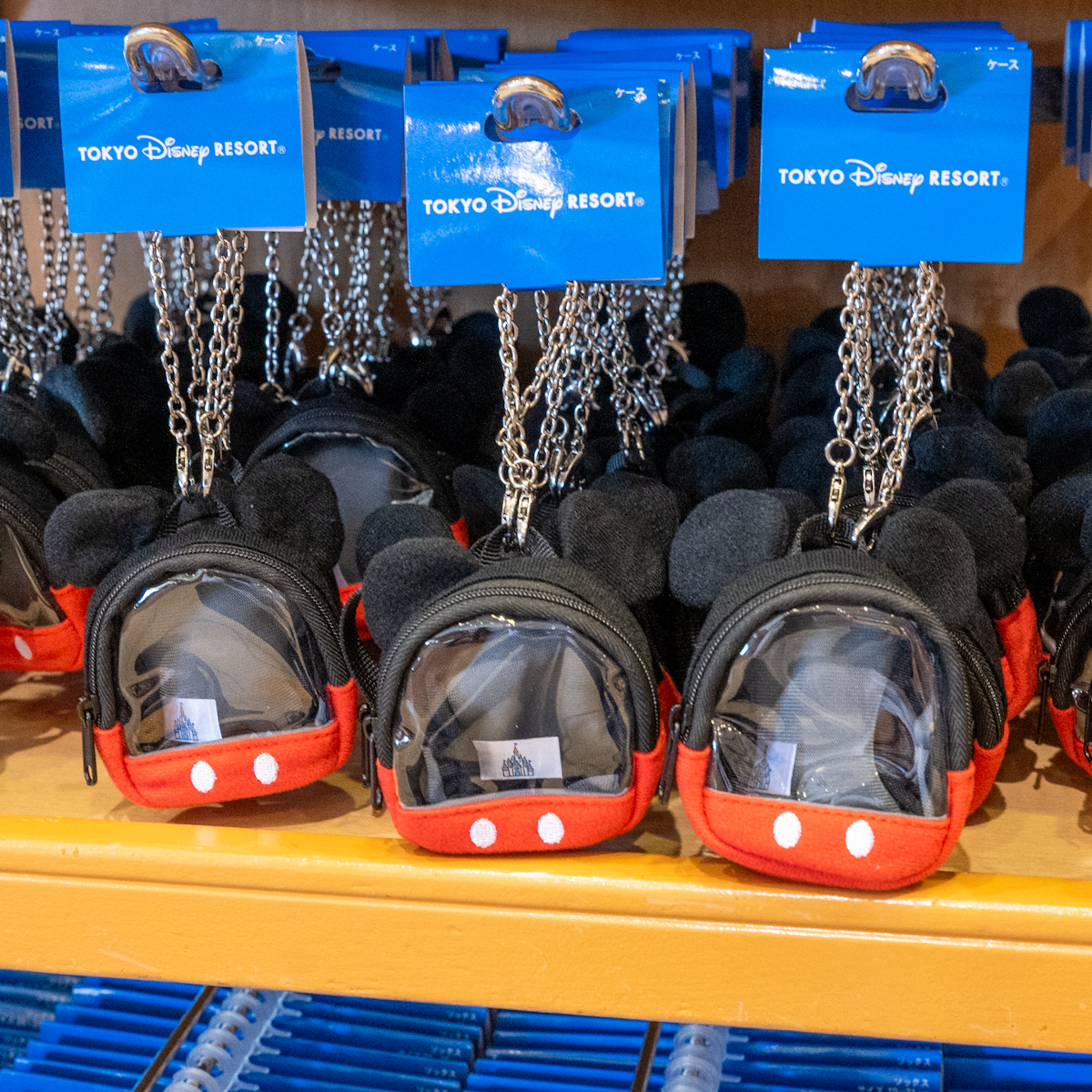 ミッキーのリュックサックケース付き！東京ディズニーランド バッグ