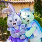 クリスマス仕様のコスチューム！東京ディズニーシー20周年 シュタイフ