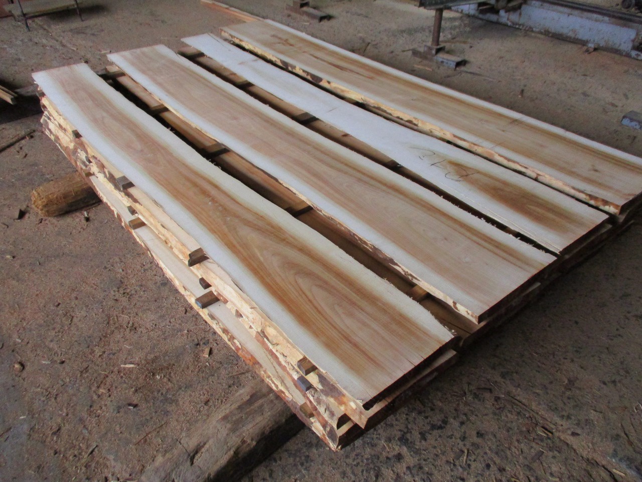 家具用材】バラ科サクラ属の“桜”を製材・入荷しました。チェリー 他