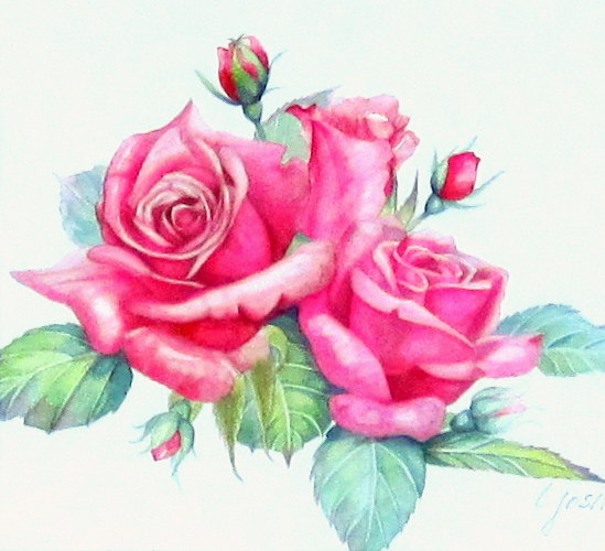 絵画専門店munay（ムナイ）・志村好子「薔薇」水彩画・4号