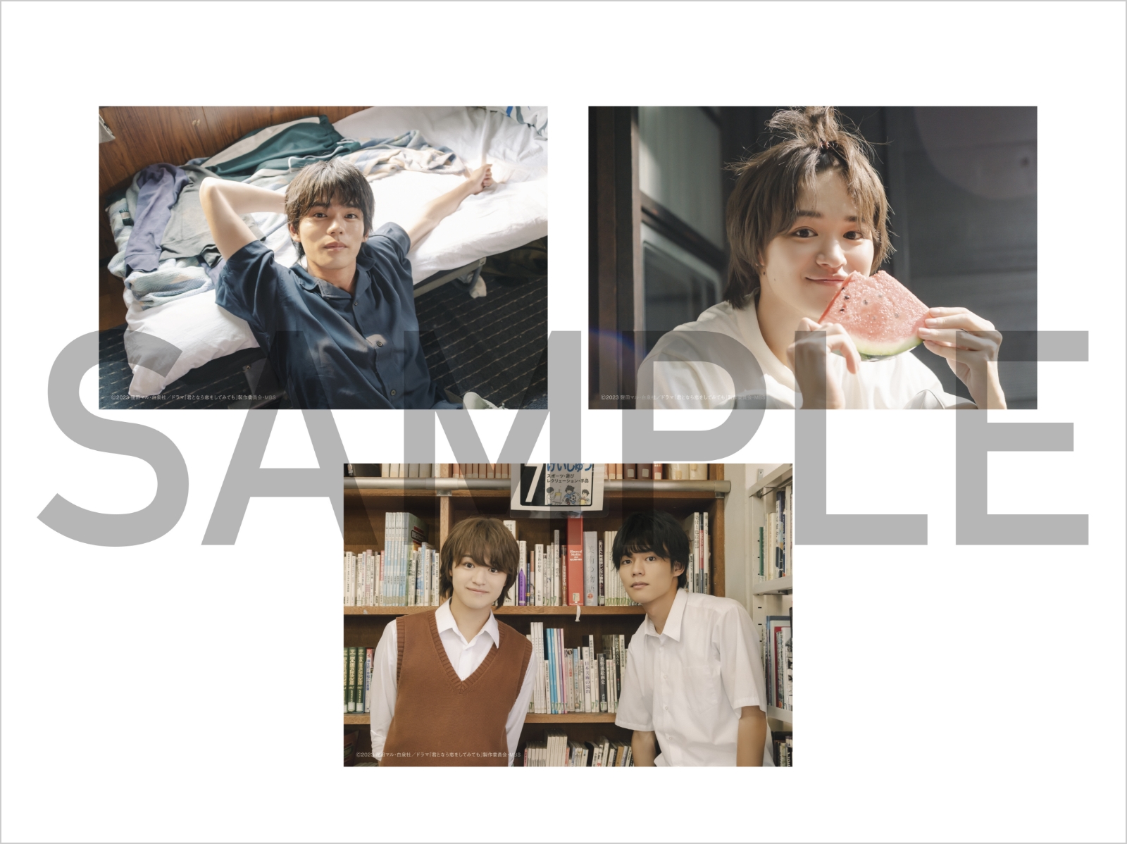 Blu-ray 販売情報｜ドラマ「君となら恋をしてみても」公式サイト