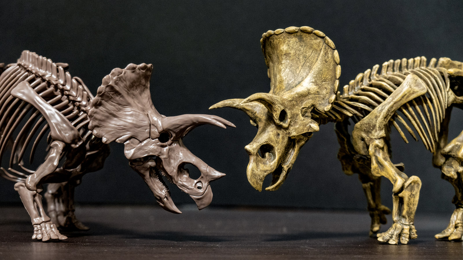 ぼくのなつやすみ／プラモデルのトリケラトプスに己のイマジナリーを