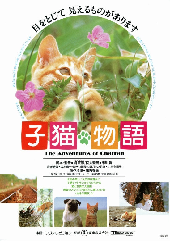 子猫物語 | 内容・スタッフ・キャスト・配信・作品情報 - 映画ナタリー