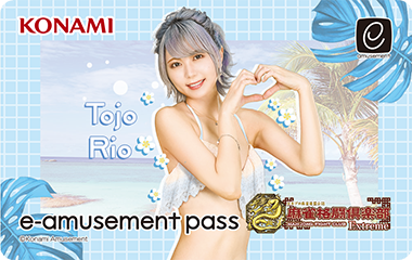 投票選抜戦2024陣中見舞い オリジナルe-amusement passカード応募者