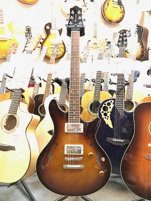 つくば店】大人気機種ポットベリーの珍しいセミアコ“EDWARDS E-PA-125D