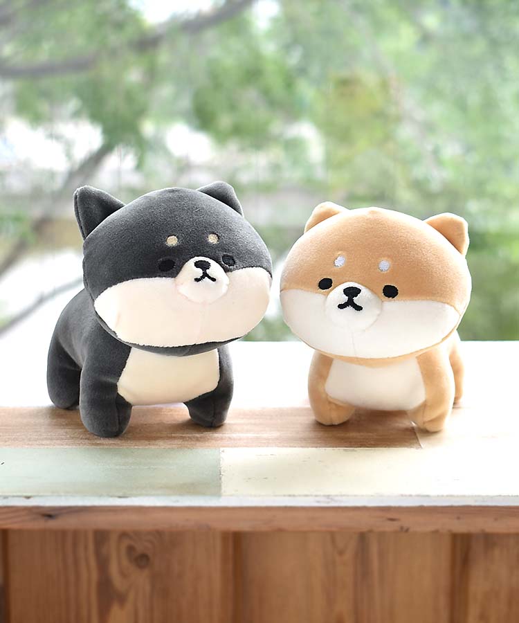 モフモフレンズ」に新しい仲間が増えました～♡凛々しい顔つきやくるん