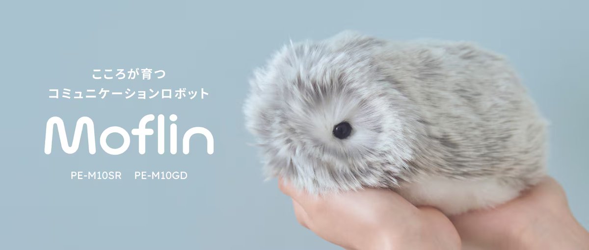 お知らせ・予告です】CASIOオンラインストアにおきまして