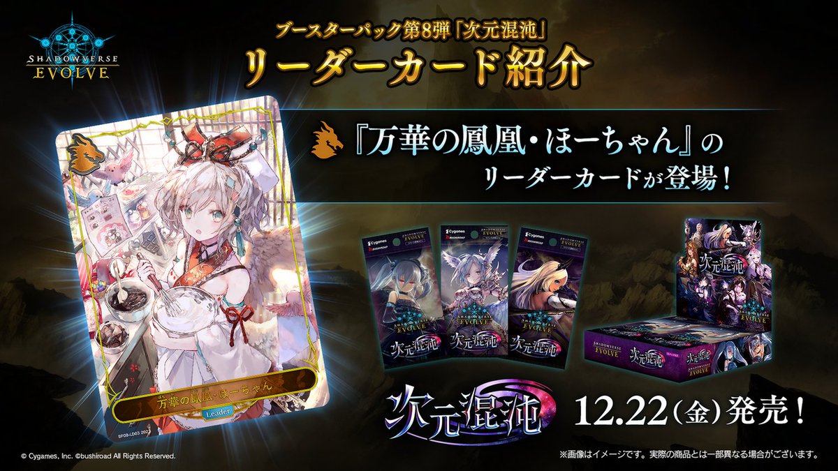 リーダーカード公開】 #しゃどばすチャンネルSP にて紹介された 12月22