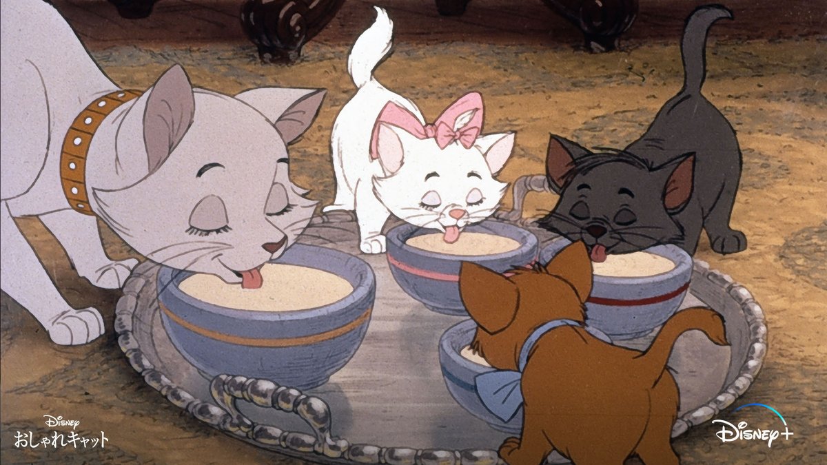 おしゃれキャット あらすじ①】 パリで裕福な老婦人と暮らす母猫
