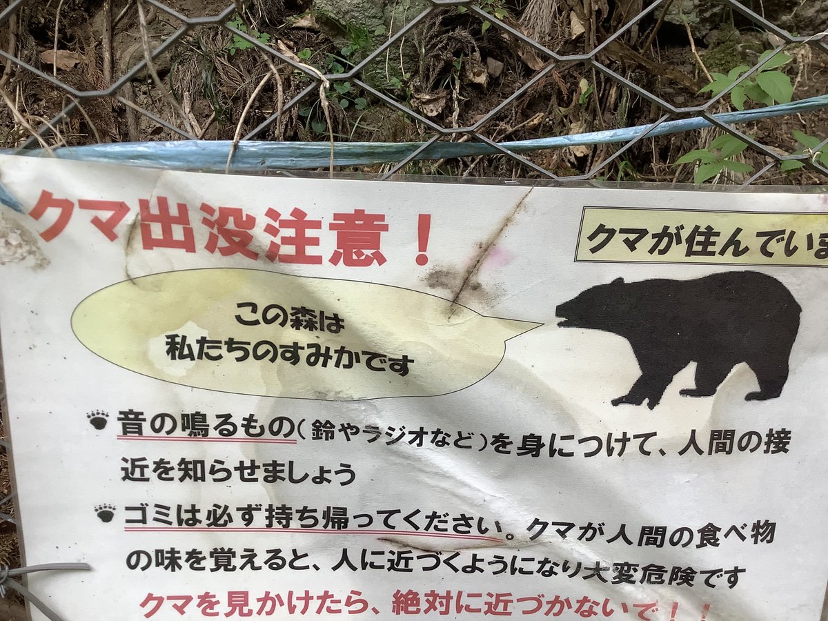 山菜採り中の遭難に注意】 山は動物のすみかです。山菜採り中は ＃熊