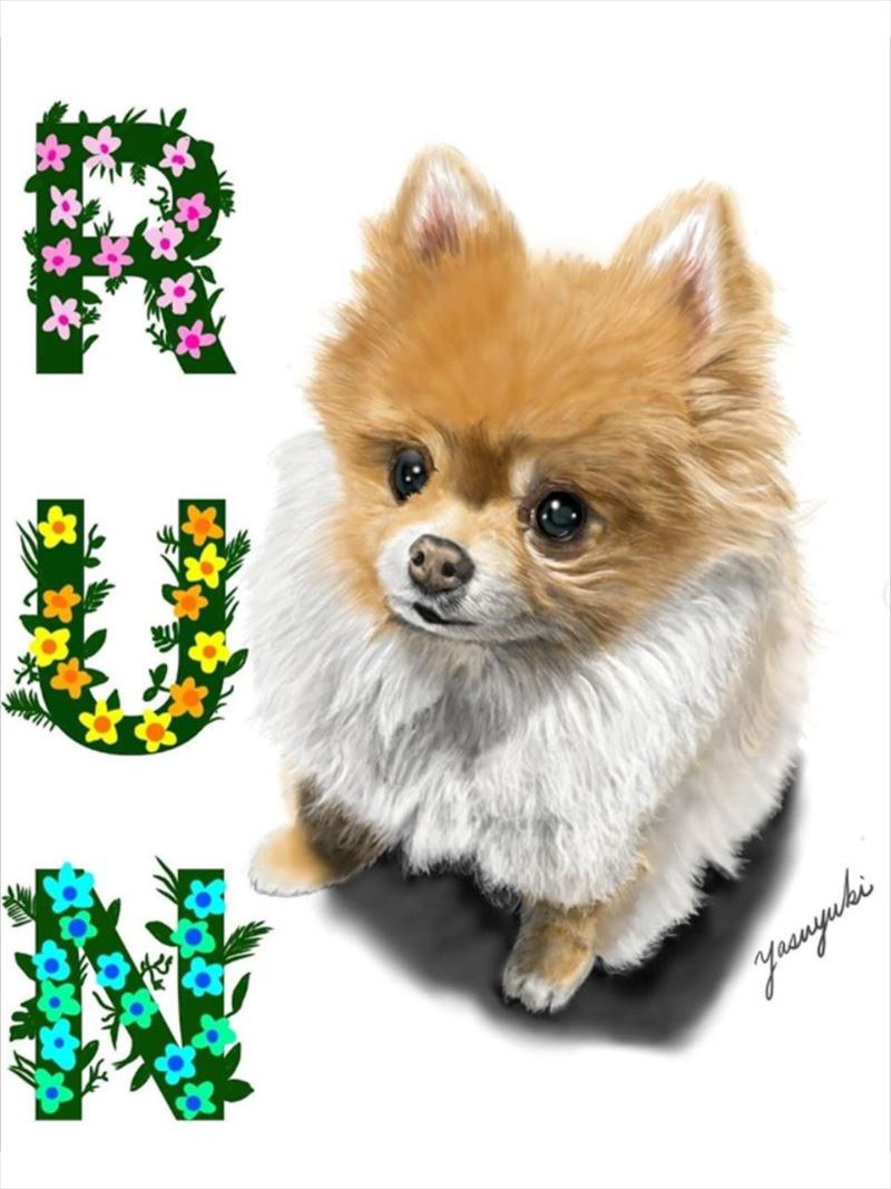 dog-33.jpg