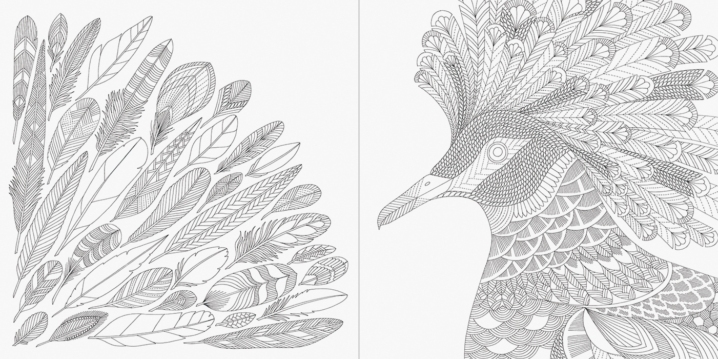 動物たちと花のぬり絵 ゆめの楽園 | PIE International