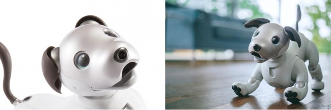 エンタテインメントロボット“aibo”（アイボ）を発売 | ソニー
