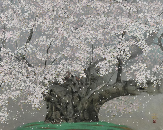 日本橋三越本店にて【画業50周年記念 中島千波 日本画展-桜花を謳う