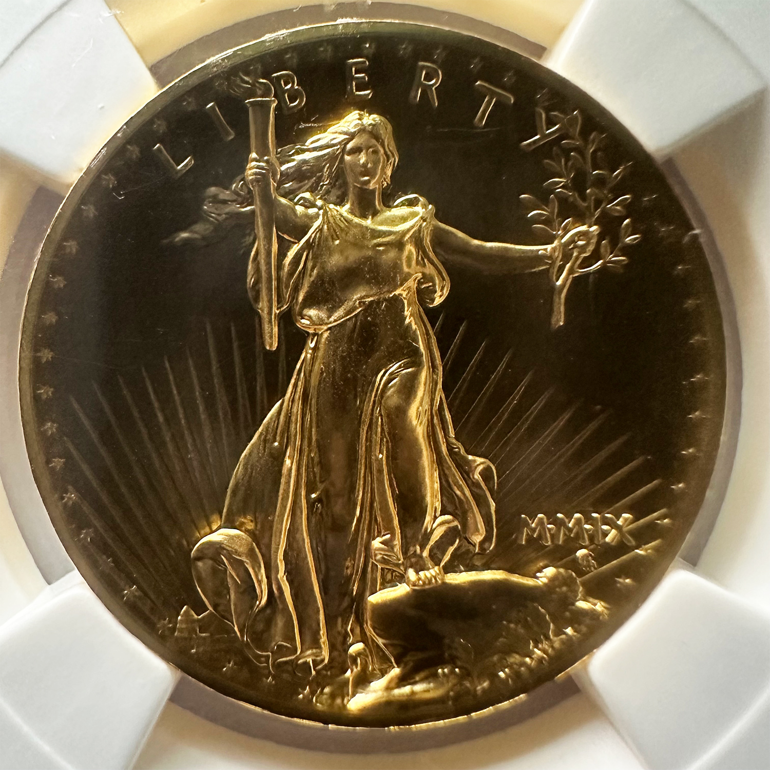 2009 ダブルイーグル ウルトラハイレリーフ アメリカ 20ドル 金貨 NGC