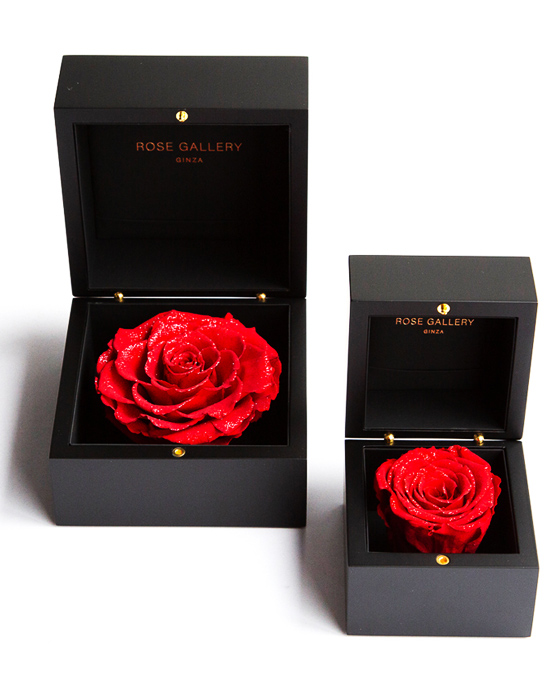 SPRING GIFT