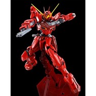 ガンダムSEED DESTINY ASTRAY」テスタメントガンダム、MGで初ガンプラ