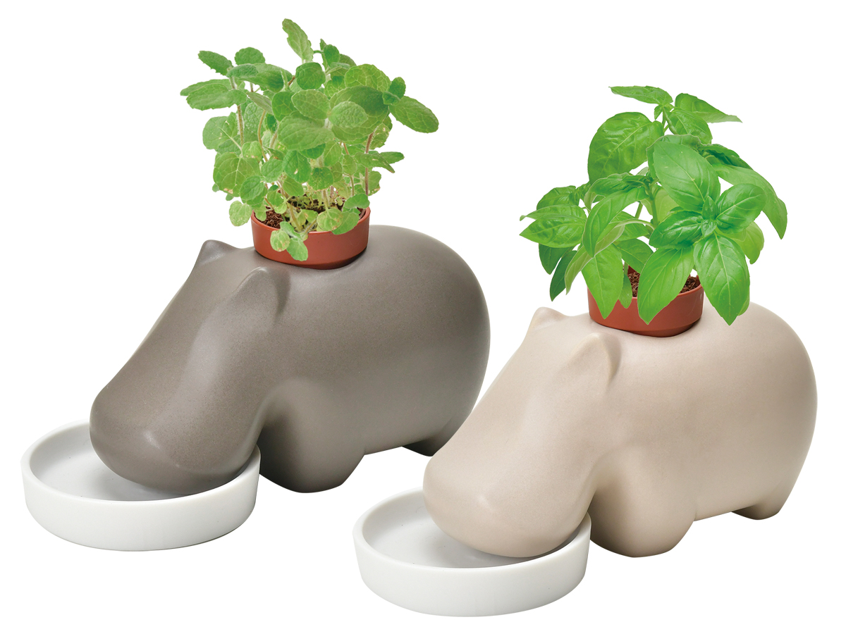 hippoplant - 聖新陶芸株式会社｜栽培キットの企画・製造・販売