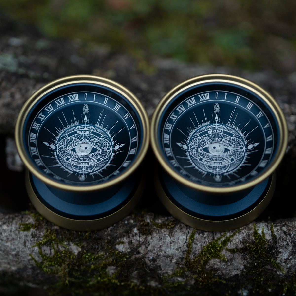 Surveillance HPF – mowl