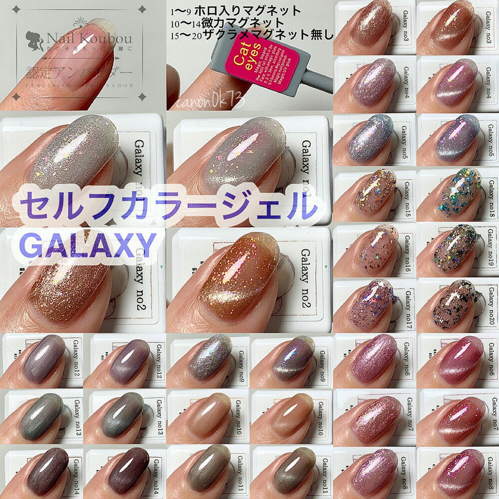 マグネットネイル カラージェル ジェルネイル 「self premium