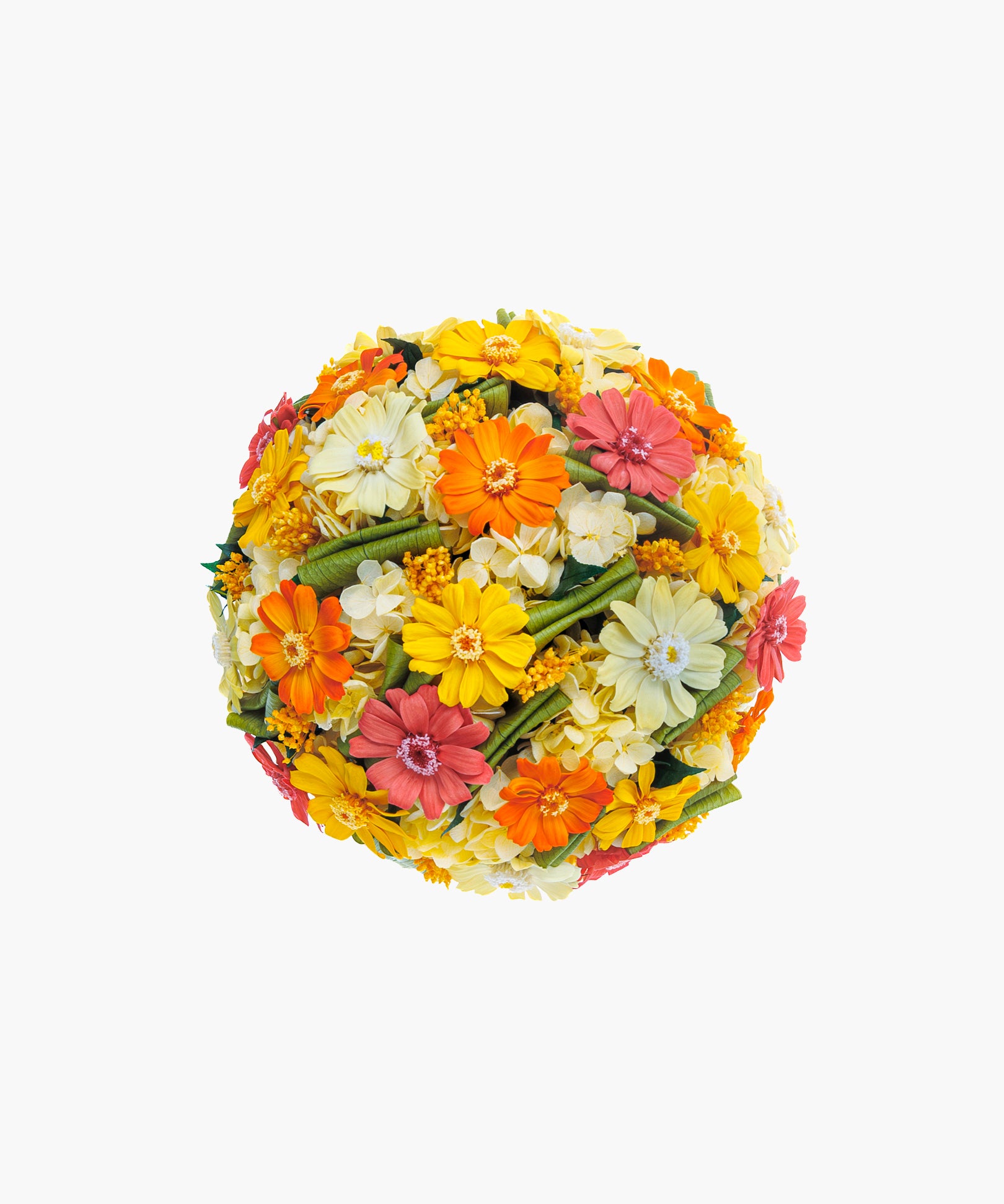 Bright Zinnia