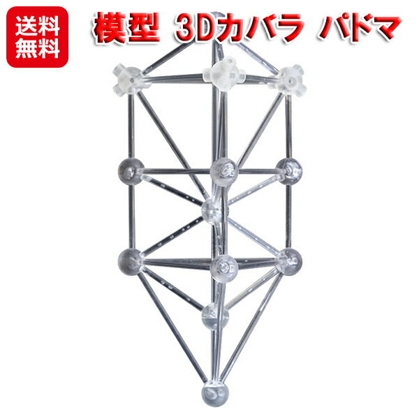 楽天市場】模型 3Dカバラ パドマ 生命の樹 ユニカ 正規品 カタカムナ