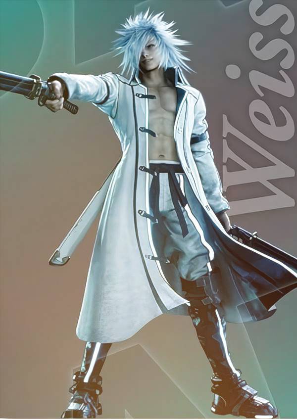 ff7digcp2vp00043.jpg
