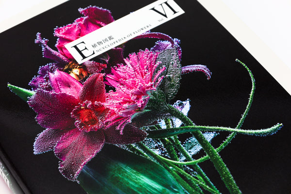 ENCYCLOPEDIA OF FLOWERS Ⅵ 植物図鑑 – 青幻舎オンラインショップ
