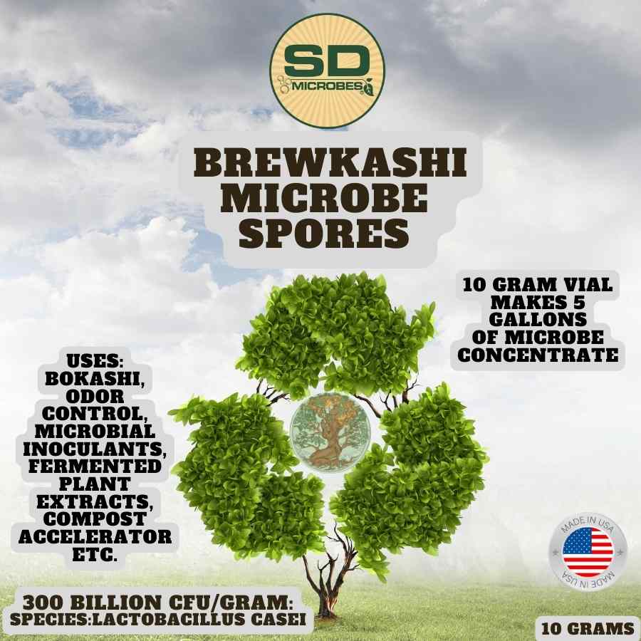 BrewKashi Spore: Lactobacillus Casei - Urban Worm Company