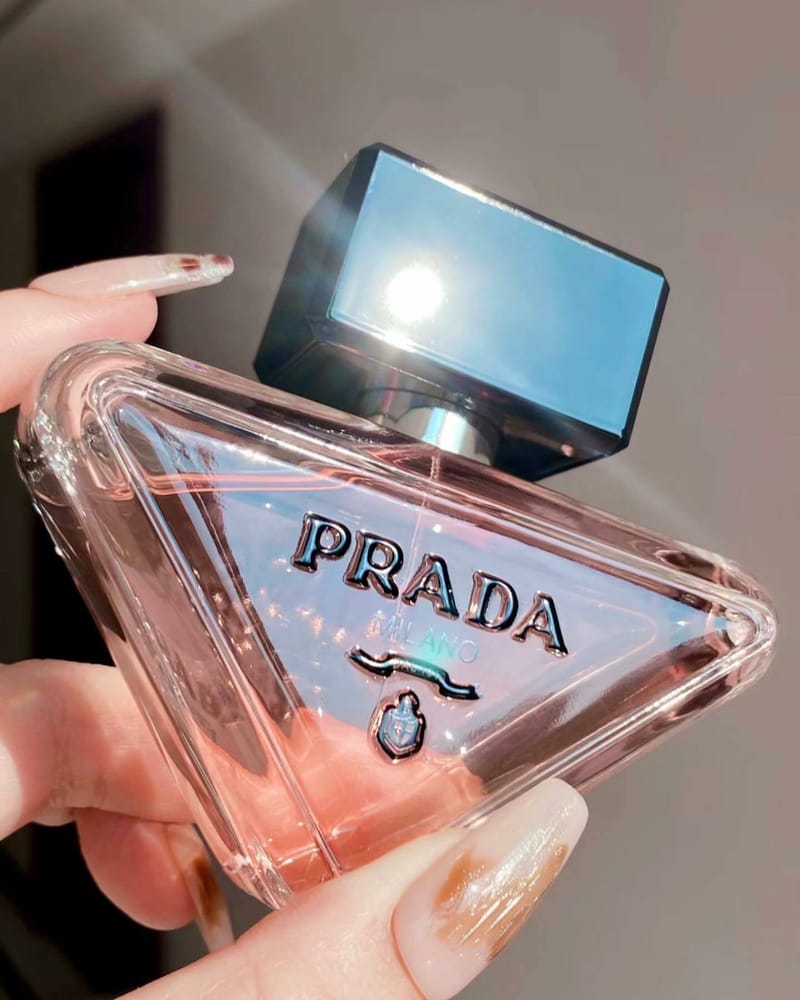 微甜橙花芽配上木質柑橘調🤤🙌🏻 PRADA - paradoxe weareseoul.com