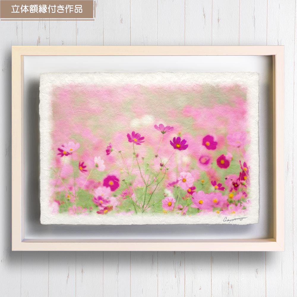 新築祝い 絵 画 和紙の絵写真 「霧の中のコスモス畑の赤い花」 秋 花の